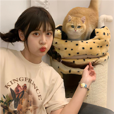 哈密伴游女生星晓莉的资料